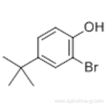 Phenol,2-bromo-4-(1,1-dimethylethyl) CAS 2198-66-5